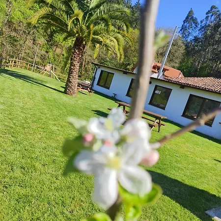 Casa rural Reguero Gato Candamin