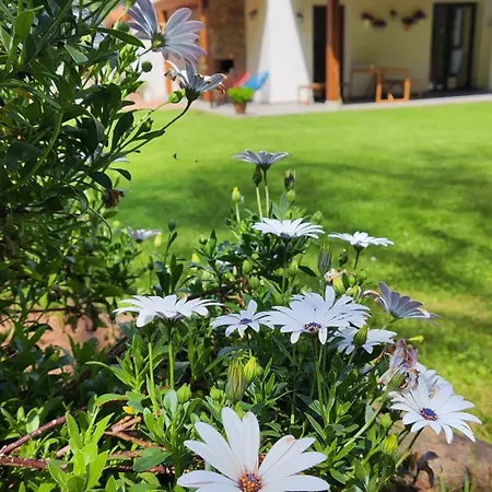 Casa rural Reguero Gato Candamin
